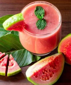 Pink Guava Live Plant - Sweet Tropical Fruit Tree Seedling, 4-8 Inch Tall, 4 Inch Pot - Image 7