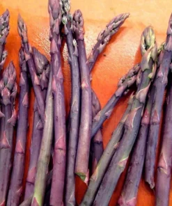 Purple Passion Asparagus Bare Roots - Pack of 5 for Planting, 4-8 Inch Tall - Image 8