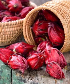 Roselle Hibiscus Live Plant for Planting - Jamaican Sorrel - 8-12 Inch Tall, 2 Plants per Pot - Image 10