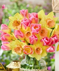 Set 10 Tulip & Daffodil Bulbs Mix - Colorful Early Spring Flowers for Outdoors - Image 5