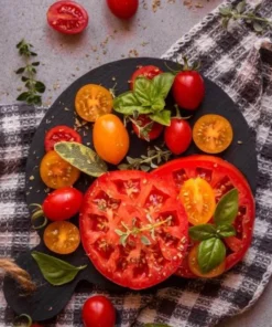 Set of 3 Beefsteak Tomato Live Starter Plants, 4