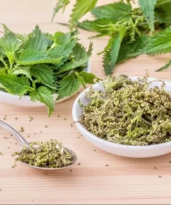 Set of 3 Stinging Nettle Bare Roots Live Plant - Hardy Outdoor Herb - Image 7