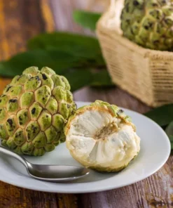 Sugar Apple Live Plant - Tropical Sweetsop Fruit Tree Starter, 4-6 Inch Tall, 3 Inch Pot - Image 10