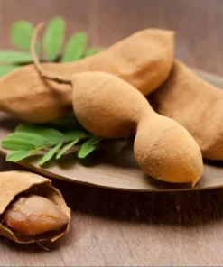 Tamarind Live Starter Plant - 4 Inch Pot - Tropical Fruit Tree Seedling - Image 5