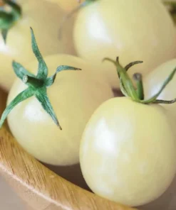 White Cherry Tomato Live Plants 2-Pack, 4 Inch Pot, 6-8 Inch Tall Starter Plants - Image 2