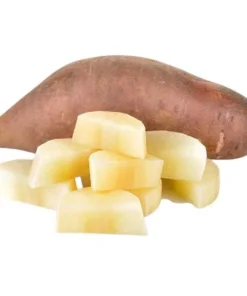 Yacon Root Live Plant - Bolivian Sunroot Starter Plug, 2-6 Inch Tall - Image 10