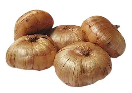 10 Large Flowering Rainbow Gladiolus Bulbs for Planting – Summer Blooms, 12/14 cm 10 Large Flowering Rainbow Gladiolus Bulbs for Planting – Summer Blooms, 12/14 cm - Image 10