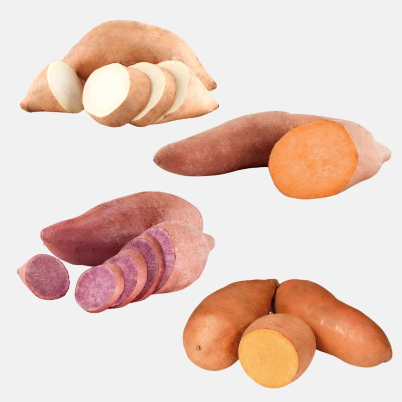 10 Mixed Variety Sweet Potato Plants - Live Yam Plants for Planting 10 Mixed Variety Sweet Potato Plants - Live Yam Plants for Planting - Image 1