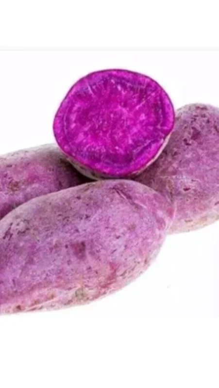 10 Mixed Variety Sweet Potato Plants - Live Yam Plants for Planting 10 Mixed Variety Sweet Potato Plants - Live Yam Plants for Planting - Image 2