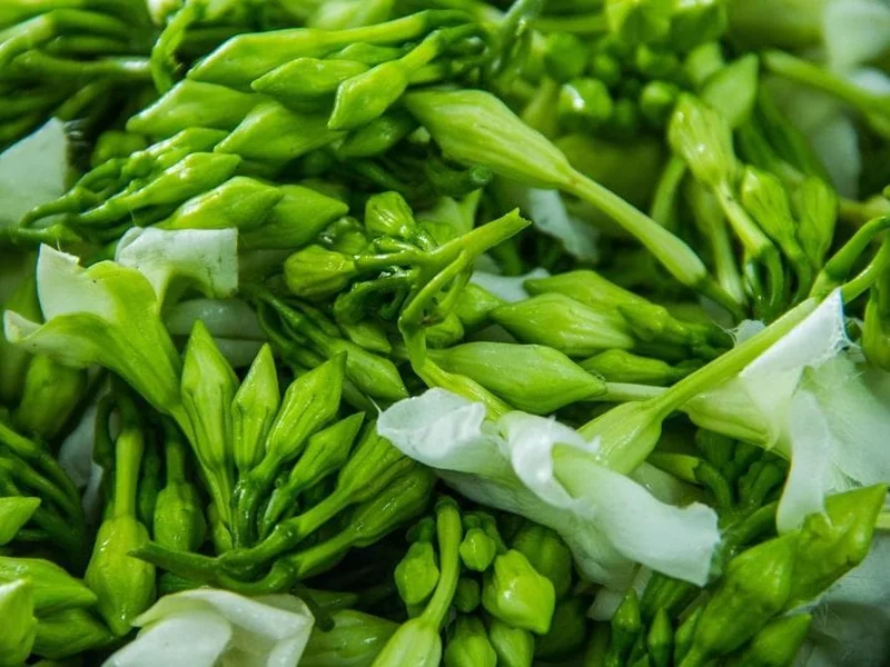 15 White Loroco Seeds - Climbing Edible Vegetable for Culinary Gardens - Image 2