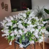 2 White Christmas Cactus Live Plants, 3-5 Inches Tall, 4-inch Pots, Indoor Schlumbergera - Image 1