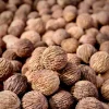 20 Black Walnut Tree Seeds for Planting - Edible Heirloom Nuts - Image 1