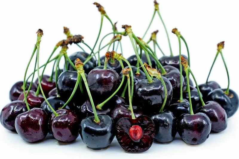 Black Cherry Tree Live Plant Set, 2 Bare Root Trees, 12-24 Inch Tall, Hardy Fruit Trees for Outdoor Planting Black Cherry Tree Live Plant Set, 2 Bare Root Trees, 12-24 Inch Tall, Hardy Fruit Trees for Outdoor Planting - Image 6