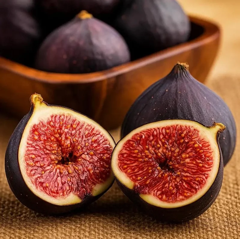 Black Mission Fig Tree Starter Plant - Live Fruit Tree for Planting, 4-8 Inch Tall Black Mission Fig Tree Starter Plant - Live Fruit Tree for Planting, 4-8 Inch Tall - Image 10