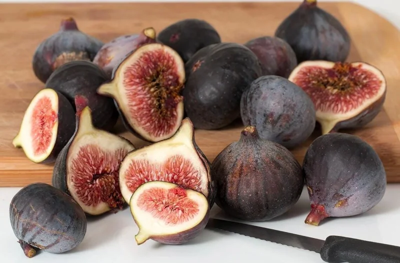 Black Mission Fig Tree Starter Plant - Live Fruit Tree for Planting, 4-8 Inch Tall Black Mission Fig Tree Starter Plant - Live Fruit Tree for Planting, 4-8 Inch Tall - Image 8