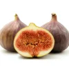 Brown Turkey Fig Tree Live Plant - 3 Pack Starter Plants, 4-8 Inch Tall, Edible Fruit Tree Brown Turkey Fig Tree Live Plant - 3 Pack Starter Plants, 4-8 Inch Tall, Edible Fruit Tree - Image 1