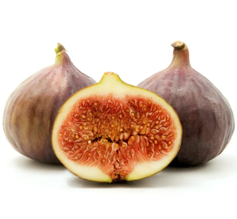 Brown Turkey Fig Tree Live Plant - 3 Pack Starter Plants, 4-8 Inch Tall, Edible Fruit Tree Brown Turkey Fig Tree Live Plant - 3 Pack Starter Plants, 4-8 Inch Tall, Edible Fruit Tree - Image 1