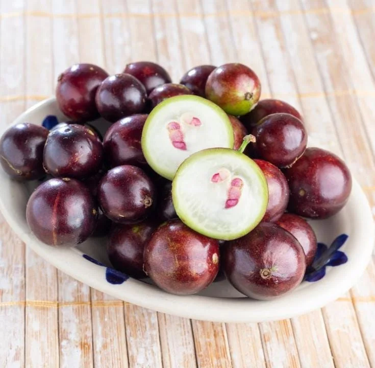 Jaboticaba Live Plant - 1 ft Tall Tropical Fruit Tree Starter, Rooted, No Pot Jaboticaba Live Plant - 1 ft Tall Tropical Fruit Tree Starter, Rooted, No Pot - Image 5