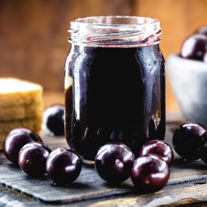 Jaboticaba Tree Live Plant – 1 ft Tall Starter – Fruit & Ornamental Tree Jaboticaba Tree Live Plant – 1 ft Tall Starter – Fruit & Ornamental Tree - Image 6