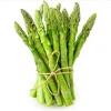 Jersey Supreme Asparagus Bare Roots - Pack of 5, 4-8 Inch, Outdoor Vegetable - Image 1