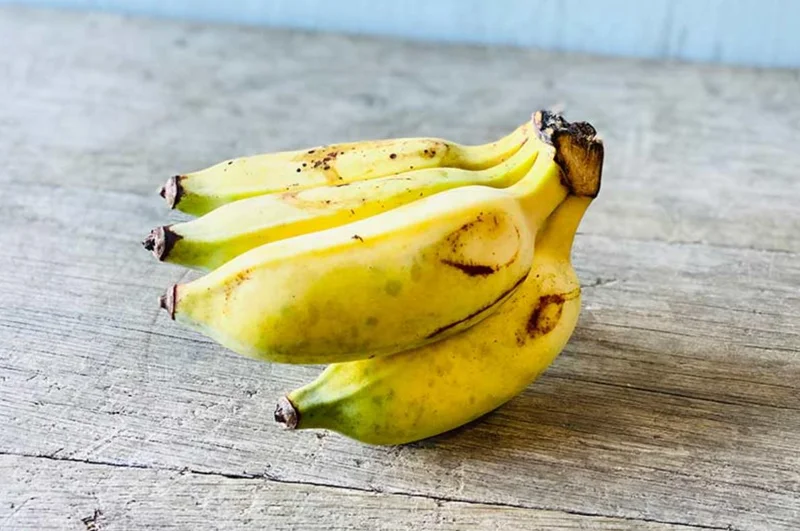 Nam Wah Banana Live Plant - 4-6 inch Tall Tropical Edible Fruit Tree Starter Nam Wah Banana Live Plant - 4-6 inch Tall Tropical Edible Fruit Tree Starter - Image 7