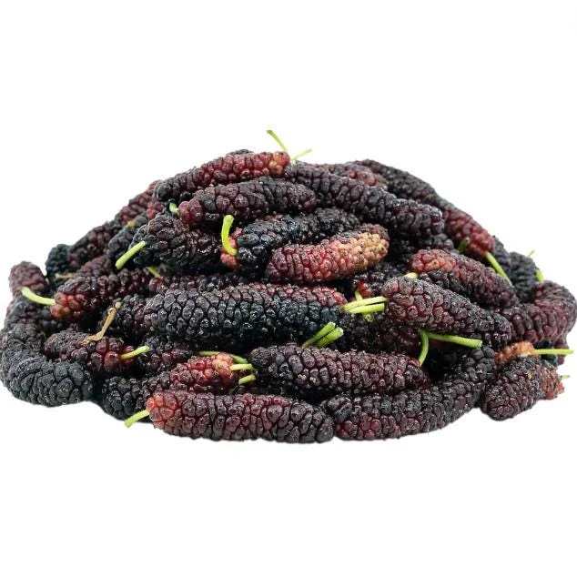 Pakistan Mulberry Live Starter Plants - 2 Pack, 4-8 Inch Sweet Fruit Trees Pakistan Mulberry Live Starter Plants - 2 Pack, 4-8 Inch Sweet Fruit Trees - Image 5