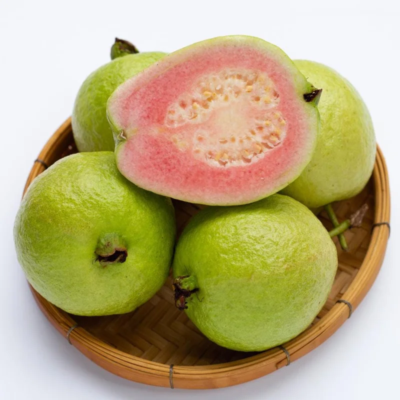 Pink Guava Live Plant - Sweet Tropical Fruit Tree, 1 Gallon Pot, USDA Zones 9-11 Pink Guava Live Plant - Sweet Tropical Fruit Tree, 1 Gallon Pot, USDA Zones 9-11 - Image 4