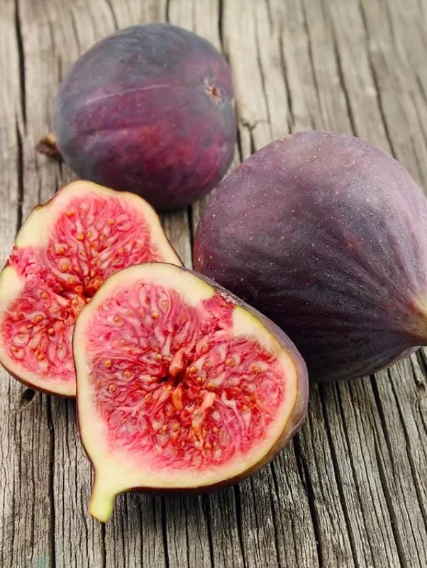 Set of 2 Celeste Fig Live Plants (Ficus carica) – 4-6" Tall – Edible Fruit Tree – Outdoor Set of 2 Celeste Fig Live Plants (Ficus carica) – 4-6" Tall – Edible Fruit Tree – Outdoor - Image 1