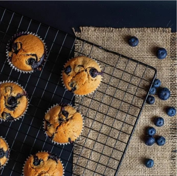 Sunshine Blueberry Live Starter Plant Bush for Home Garden, 4-8 Inch Tall Sunshine Blueberry Live Starter Plant Bush for Home Garden, 4-8 Inch Tall - Image 5