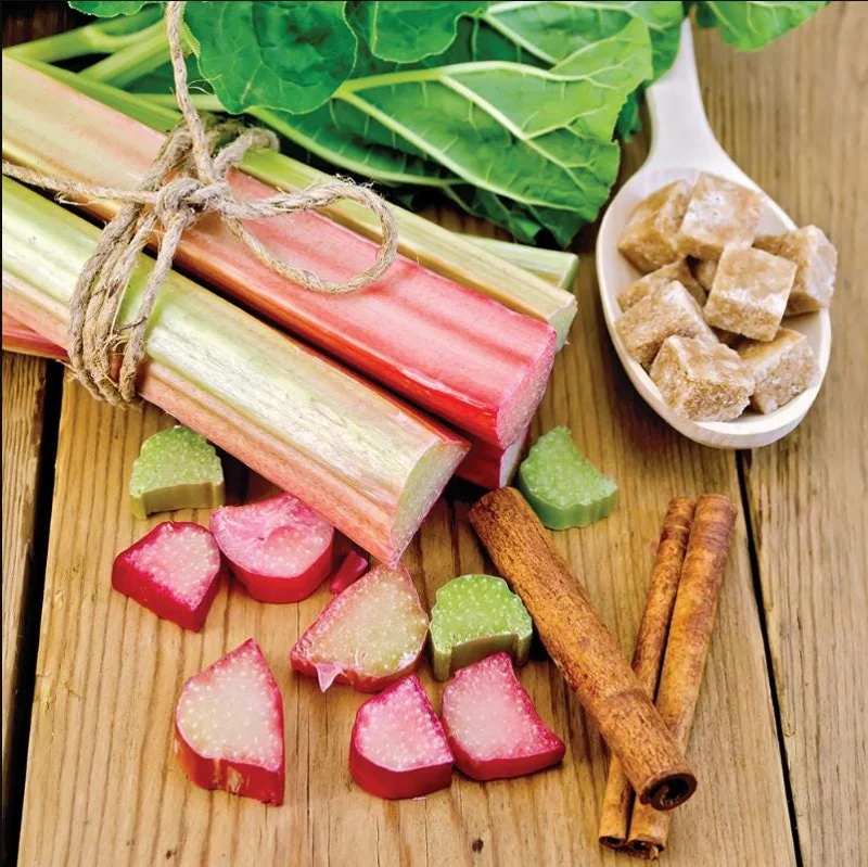 Victoria Rhubarb Roots 10 Pack - Live Plant 3-5 Inch Tall Bare Root for Garden Victoria Rhubarb Roots 10 Pack - Live Plant 3-5 Inch Tall Bare Root for Garden - Image 6