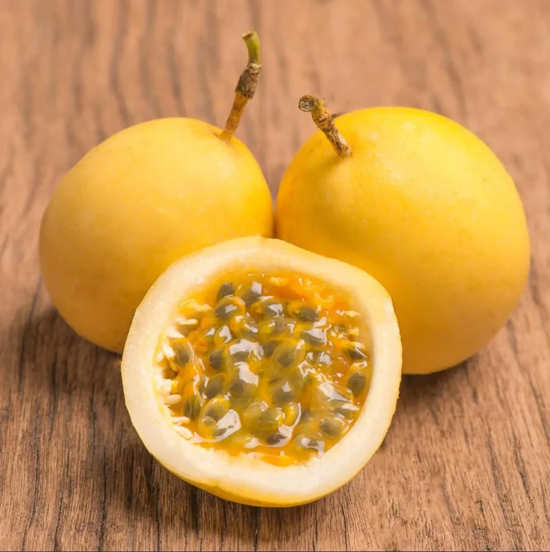 Yellow Passion Fruit Live Starter Plant - 4-6 Inch Tall Vine, Well Rooted Yellow Passion Fruit Live Starter Plant - 4-6 Inch Tall Vine, Well Rooted - Image 3