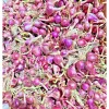 0.5lb Red Shallot Bulbs for Planting – Onion Sets – Grow Your Own Shallots - Image 1