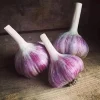 1 Lb Red Russian Hardneck Garlic Bulbs for Planting – Outdoor Gardening 1 Lb Red Russian Hardneck Garlic Bulbs for Planting – Outdoor Gardening - Image 1