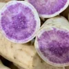 10 Okinawa Purple Sweet Potato Slips - Organic Unrooted Cuttings for Planting 10 Okinawa Purple Sweet Potato Slips - Organic Unrooted Cuttings for Planting - Image 1