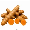 10 Orange Turmeric Roots for Planting - Curcuma Longa Bulbs Perennial Herb - Image 1