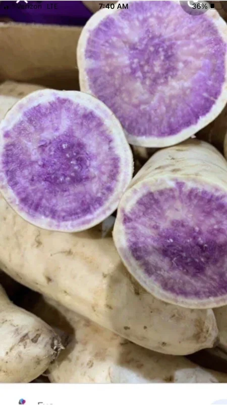 10 Organic Okinawa Purple Sweet Potato Slips - Cuttings Live Plant 10 Organic Okinawa Purple Sweet Potato Slips - Cuttings Live Plant - Image 12