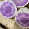 10 Organic Okinawa Purple Sweet Potato Slips - Cuttings Live Plant - Image 1