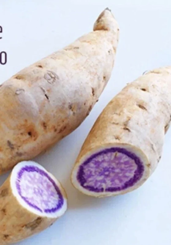 10 Organic Okinawa Purple Sweet Potato Slips - Cuttings Live Plant 10 Organic Okinawa Purple Sweet Potato Slips - Cuttings Live Plant - Image 8