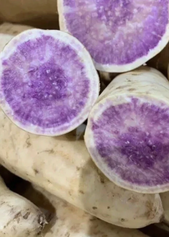 10 Organic Okinawa Purple Sweet Potato Slips - Cuttings Live Plant 10 Organic Okinawa Purple Sweet Potato Slips - Cuttings Live Plant - Image 9