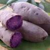 10 Purple Sweet Potato Slips - Ipomoea batatas Cuttings - Live Plant 10 Purple Sweet Potato Slips - Ipomoea batatas Cuttings - Live Plant - Image 1