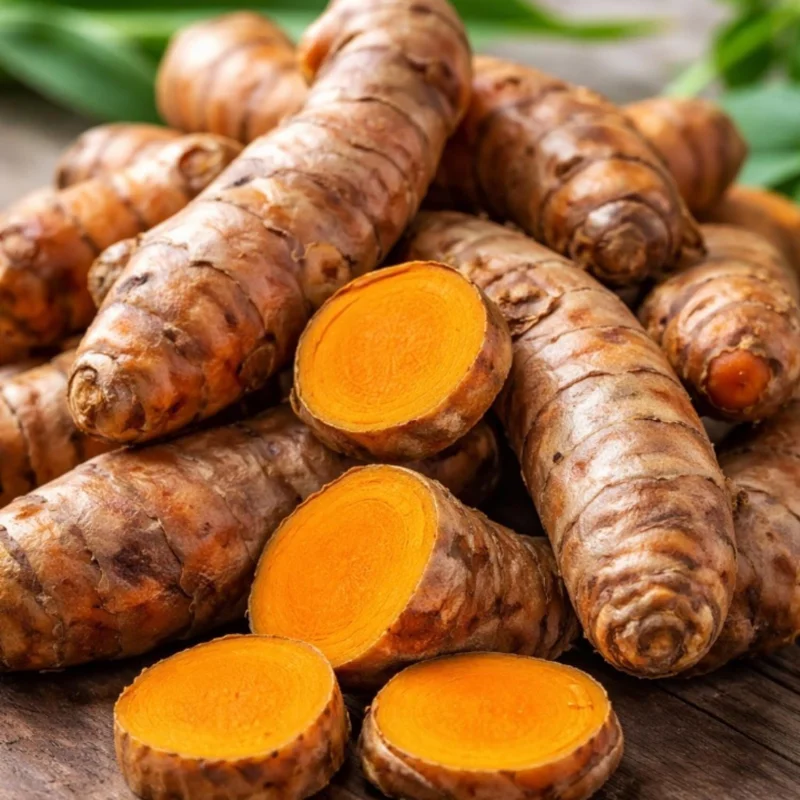 10 Turmeric Roots – Yellow Curcuma Root for Planting Indoor & Outdoor 10 Turmeric Roots – Yellow Curcuma Root for Planting Indoor & Outdoor - Image 5