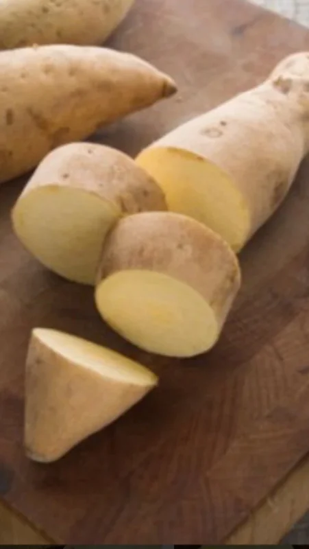 10 White Sweet Potato Slips - Live Plant Cuttings for Bountiful Harvest 10 White Sweet Potato Slips - Live Plant Cuttings for Bountiful Harvest - Image 2