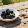 100 Blackberry Seeds - Sweet Berry Bush for Home Garden & Patio Growing - Image 1