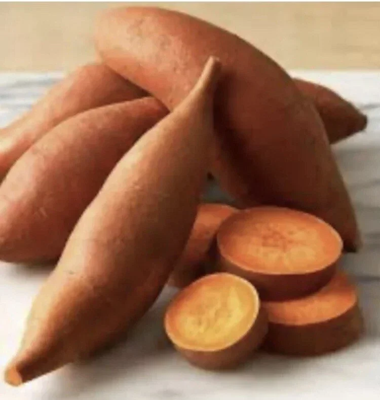 15 Beauregard Sweet Potato Slips - Organic Live Plant Cuttings for Growing 15 Beauregard Sweet Potato Slips - Organic Live Plant Cuttings for Growing - Image 2