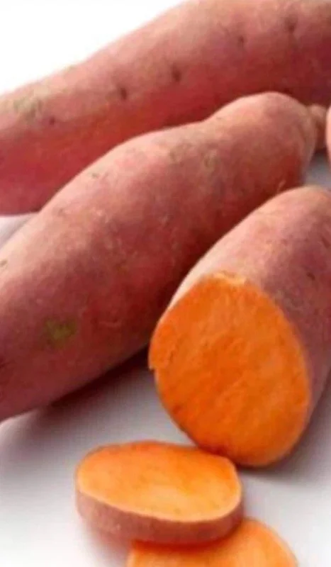 15 Beauregard Sweet Potato Slips - Organically Grown Live Plant Cuttings - Image 1