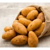 2 Lbs Idaho Potatoes Whole Tubers Seeds Potatoes Brown Potato Seeds for Planting 2 Lbs Idaho Potatoes Whole Tubers Seeds Potatoes Brown Potato Seeds for Planting - Image 1