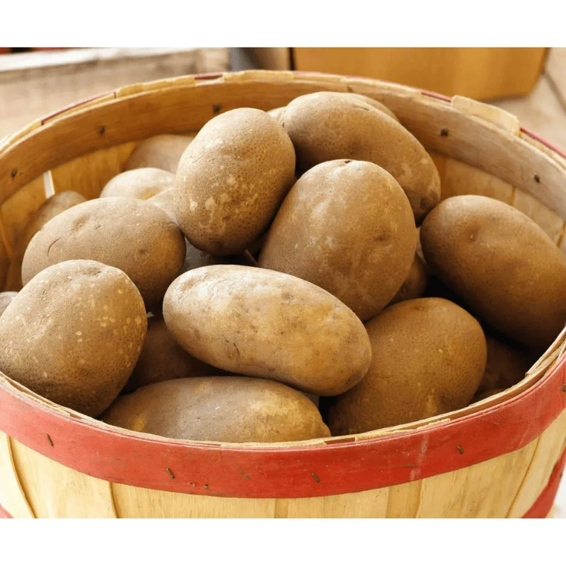 2 Lbs Russet Potato Seeds - Whole Tubers for Planting - Brown Potato Seeds 2 Lbs Russet Potato Seeds - Whole Tubers for Planting - Brown Potato Seeds - Image 2