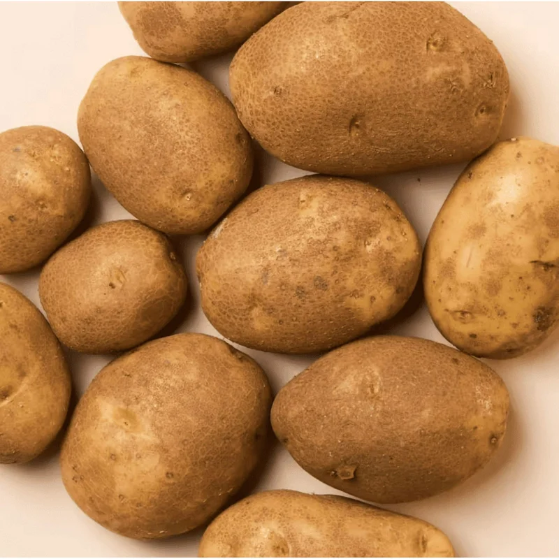 2 Lbs Russet Potato Seeds - Whole Tubers for Planting - Brown Potato Seeds 2 Lbs Russet Potato Seeds - Whole Tubers for Planting - Brown Potato Seeds - Image 3