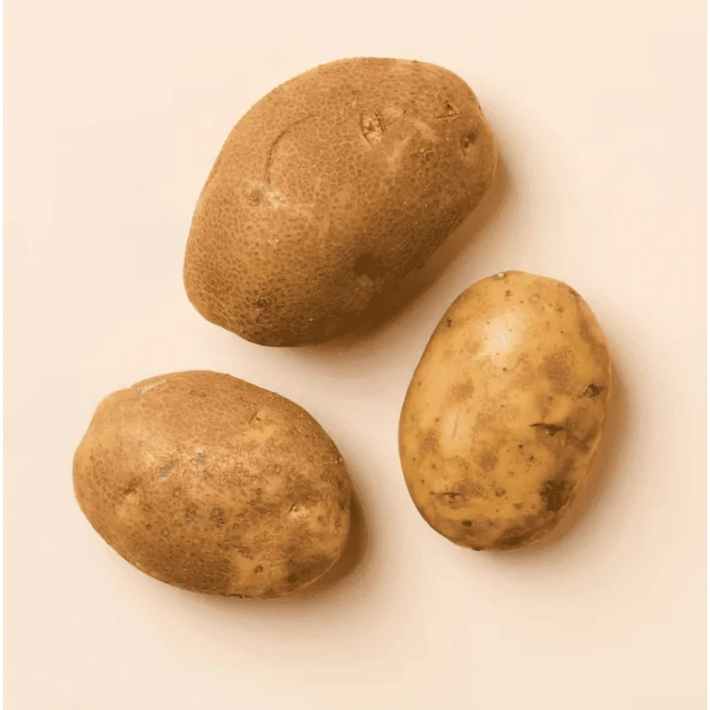 2 Lbs Russet Potato Seeds - Whole Tubers for Planting - Brown Potato Seeds 2 Lbs Russet Potato Seeds - Whole Tubers for Planting - Brown Potato Seeds - Image 4