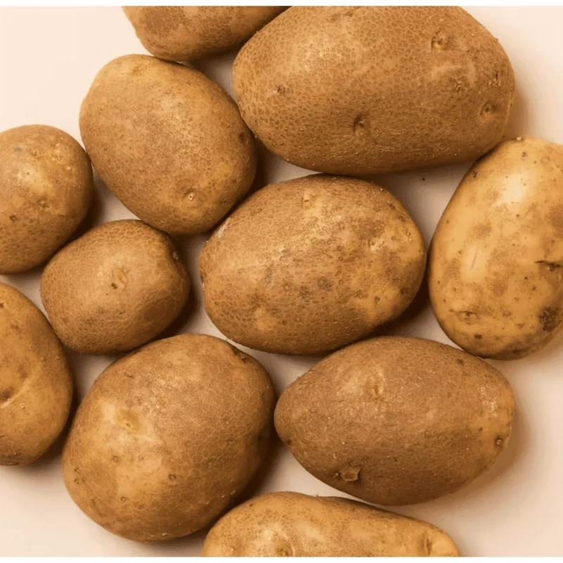 2 Lbs Russet Potato Seeds - Whole Tubers for Planting - Brown Potato Seeds 2 Lbs Russet Potato Seeds - Whole Tubers for Planting - Brown Potato Seeds - Image 1